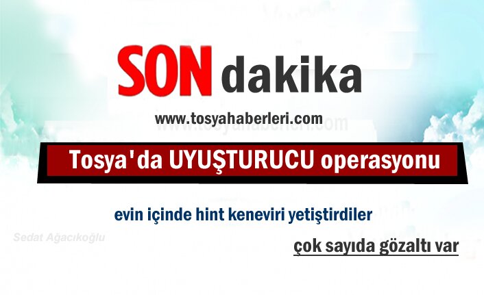 Tosya'da Uyuşturucu Operasyonu