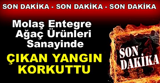 Molaş Entegre'de YANGIN KORKUTTU