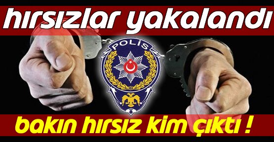 Tosya Tarihinin En Büyük Hırsızları Yakalandı