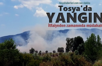 Tosya'da Kırsal Alanda Yangın Çıktı