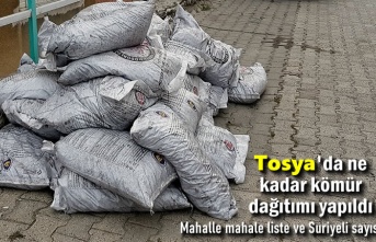 Tosya 'da İhtiyaç Sahiplerine Ne Kadar Kömür Dağıtımı Yapıldı