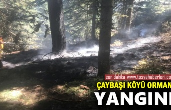Tosya'da Orman Yangını