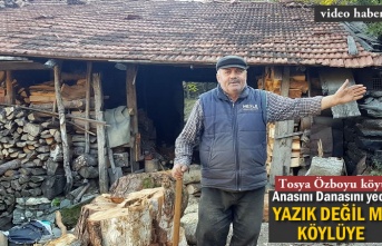 Tosya Özboyu köyüne Üç Yıldır Çivi Çakılmadı