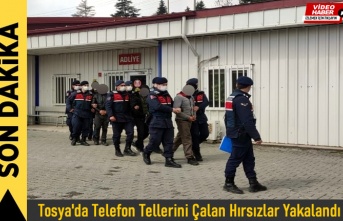 Tosy'da Telefon Teli Çalan Hırsızlar Yakalandı