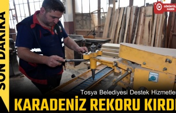 Tosya Belediyesi 2022’de Kamelya Üretiminde Karadeniz Bölgesi Rekoru Kırdı