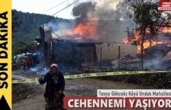 Tosya Gökceöz Köyünde Çıkan Yangında 10 Ev Tamamen Yandı