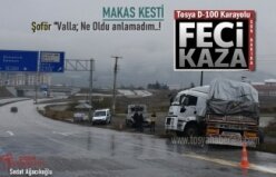 TOSYA D-100'DE TIR MAKAS KESTİ