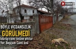 TOSYA'DA CAMİ ÖNÜNDE ÖLÜ KÖPEK BULUNDU