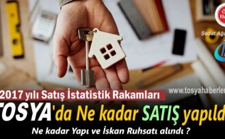 2017 YILINDA TOSYA KONUT SATIŞ İSTATİSTİĞİ