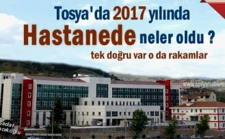 TOSYA DEVLET HASTANESİ 2017 YILI RAKAMLARI